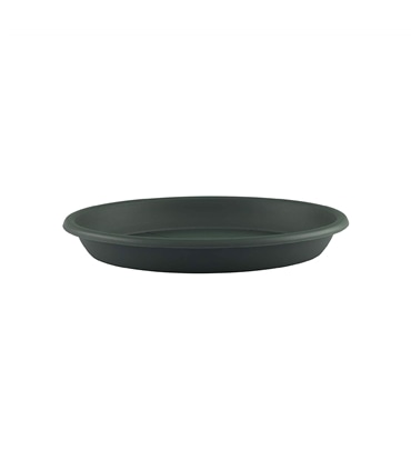 Prato Redondo 35cm Verde Escuro - JAR2404