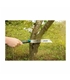 Serra japonesa com cabo de 2 componentes 240 mm Wolfcraft #4 - WOL1101