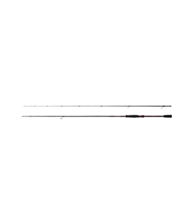 Cana Sephia BB Spinning 2.59mt -  SHIMANO - PES5226