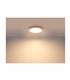 Projector Downlight Polly inclu. LED 20W GLO12392-18S -Globo #2 - ILU1679